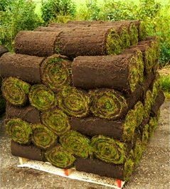 RULOURI DE GAZON NATURAL